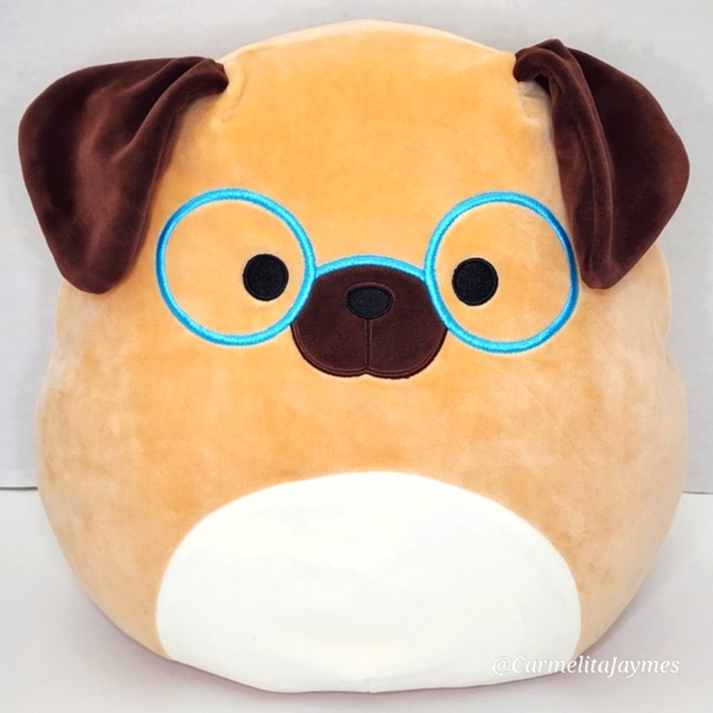 DARYL 🐶 12" Brown Dog w Blue Glasses Squishmallow NWT Loves Space & Experiments